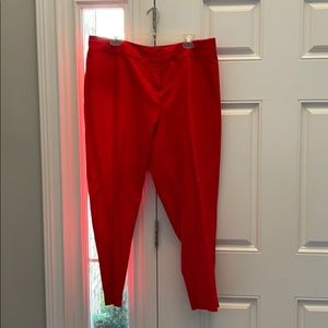 Lane Bryant Capri pants